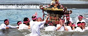 羽村堰で神輿揉み。'13.04.14.