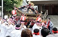神輿揉みで出立つご挨拶。'13.04.14.