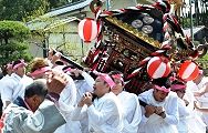 神輿揉みで渡御。'13.04.14.