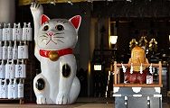 奉納された大招き猫。'13.06.02.