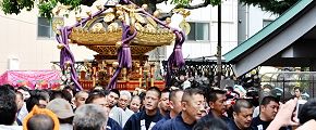 参道鳥居まで木遣が先導。'13.06.02.