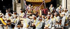 抱えて路上に担ぎ出し。'13.08.18.
