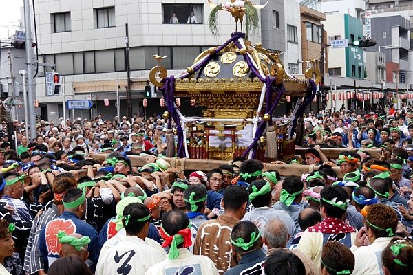 草色鉢巻軍団が本郷交差点を渡御。'13.08.04.