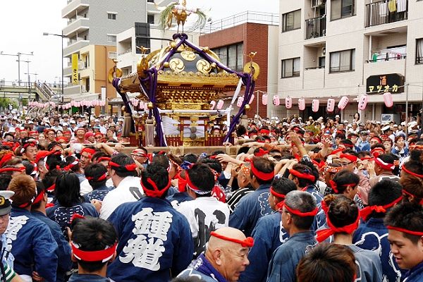 赤い鉢巻の担ぎ手に変わり激しい神輿揉みで渡御。'13.08.04.