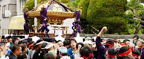 解き放たれての威勢良い担ぎ。'13.09.08.