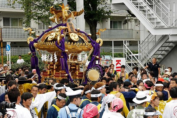 悠然と旧中原街道を戸越拍子で渡御。'13.09.08.