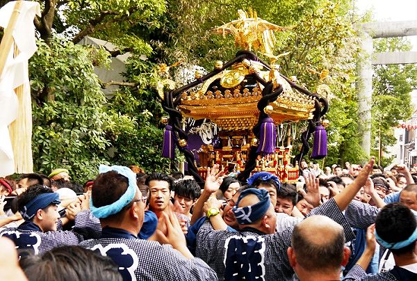 社殿前へと行きつ戻りつの神輿揉み。'13.09.15.