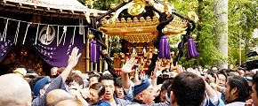 鳥居下での神輿揉み。'13.09.15.