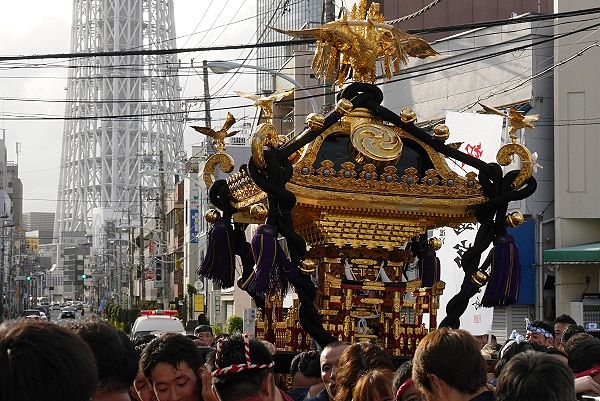 生憎の曇天の江東亀戸天祖神社渡御。'13.09.15.