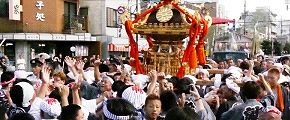雄叫びが騰がる。'13.09.15.