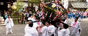 上下左右に神輿揉み。'14.04.13.