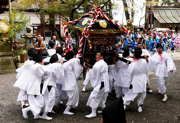 境内で激しく上下左右に神輿揉み。'14.04.13.