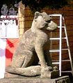 口閉じる吽。'13.10.06.
