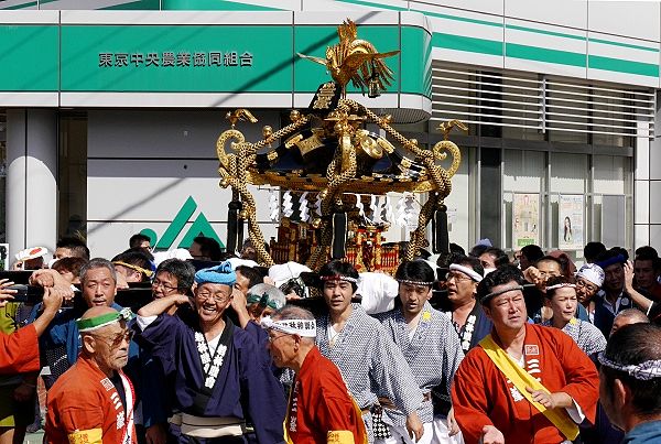 お囃子山車に先導されてゆったり担がれてくる。'13.10.06.
