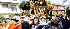 手拍子に鼓舞され。'13.10.06.