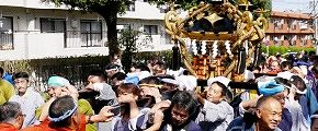 路地中を余裕の担ぎ。'13.10.06.