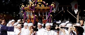 白丁のみで神輿揉み。'13.10.13.