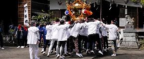 しゃがみ反動で跳ね上がる。'14.04.13.