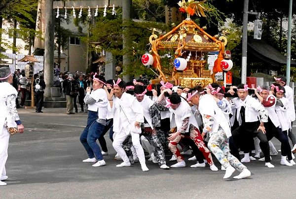 鳥居前での独特の神輿揉み。'14.04.13.