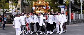 神社前で神輿揉み。'14.04.13.