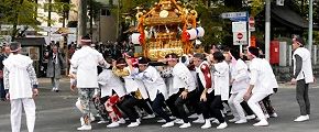 上下に激しく揉む。'14.04.13.