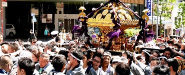 明大通りを悠然と横切る。'14.05.11.