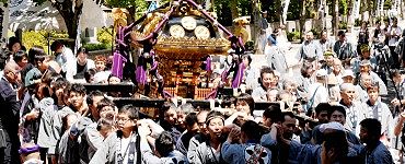 道灌通りへ担ぎ出し渡御。'14.05.11.