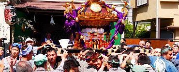 社殿から社務所と神輿庫そして鳥居へ。'14.06.01.