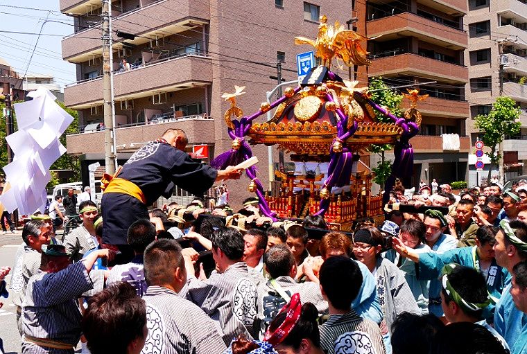広い吉野通りで休息の木。'14.06.01.
