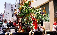 榊や御幣で観れず。'14.06.01.