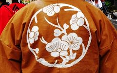 梅の印半纏。'14.07.13.