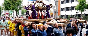田無町歩道から担ぎ出し。'14.07.13.