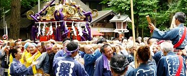 樹木生い茂る田無神社境内。'14.07.13.