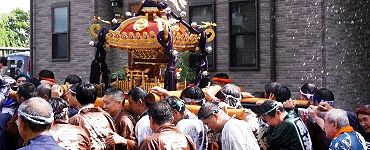 水掛けに下向く。'14.08.24.