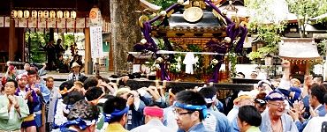 参道から鳥居へ。'14.07.20.