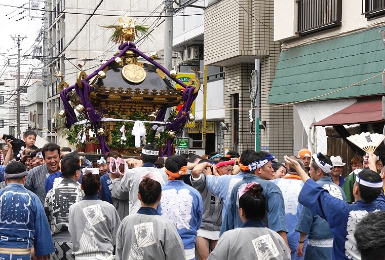 曇天日の子安祇園祭の渡御。'14.07.20.