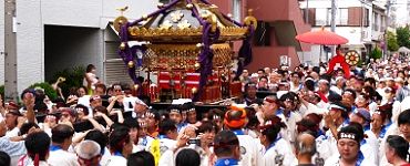 三崎町会の担ぎ。'14.08.24.