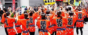 囃し立てる柿色軍団。'14.09.07.