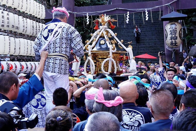 大鳥居下から渡御の開始。'14.09.23.