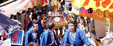 参道を掻き分け降りてくる。'14.09.23.