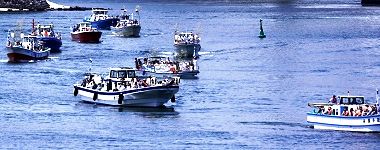 お台場海浜公園。'15.06.07.