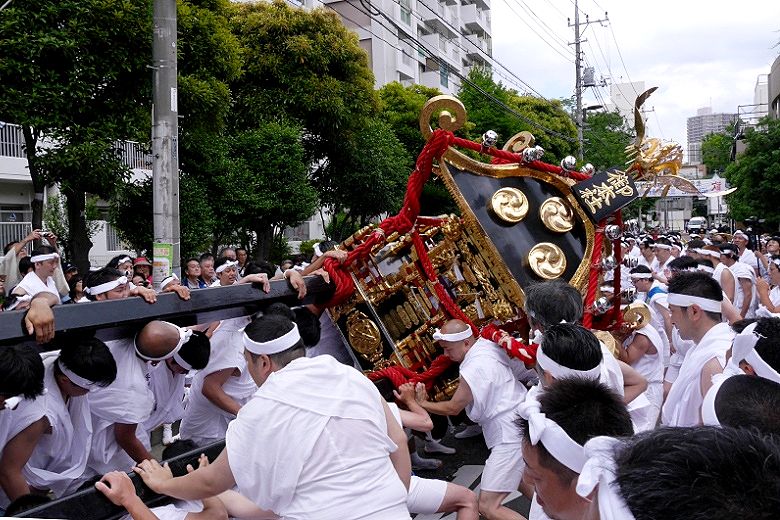 御本社大神輿の神輿振り。'15.06.06.
