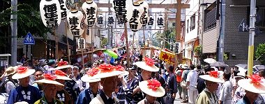 粋に花傘の棟梁達。'15.08.02.