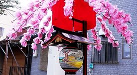 祭礼飾り花傘。'15.09.29.