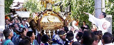 大鳥気にして鳥居潜り。'15.09.20.