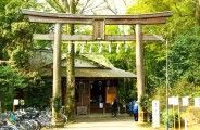 北参道の木造の大鳥居。09.04.12.