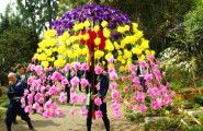 万灯傘が宮神輿に続く。09.04.12.