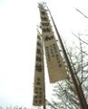 多摩川の風に揺れる南参道の大幟。09.04.12.