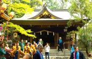 新緑に包まれた阿蘇神社の本殿。09.04.12.