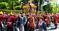 神輿も混雑する青梅街道を急げ急げです。09.04.29.